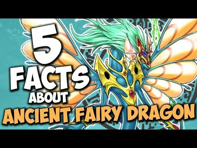 5 Facts About Ancient Fairy Dragon - YU-GI-OH! Facts & Trivia