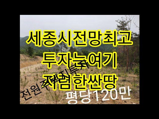 세종시장군면금암리이보다싼땅없다평당120만원추천드립니다전원주택부지