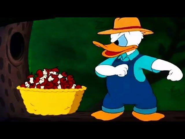 ᴴᴰ Pato Donald y Chip y Dale dibujos animados - Pluto, Mickey Mouse Episodios Completos Nuevo 2018