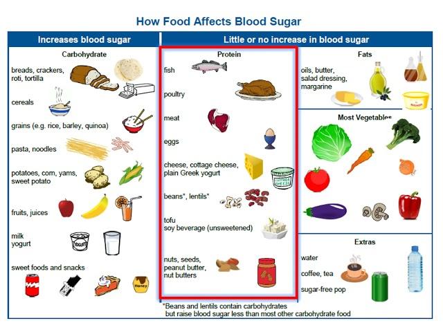 Adult Type 2 Diabetes - 4. Nutrition Basics