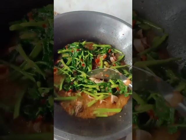 cumi sayur kangkung bagi yang mau resepnya  boleh tulis dikoment#shorts #urangminang #viral