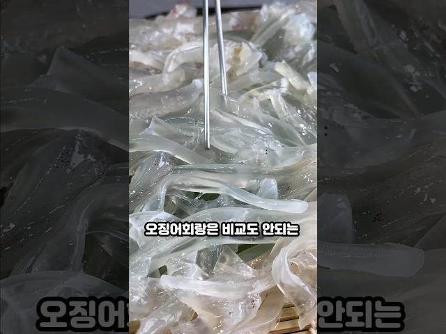 제주 여행 제철 맞은 제주 한치회 맛집 추천!!