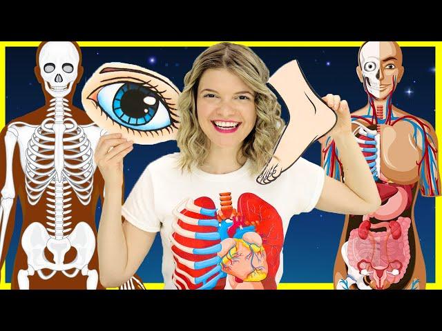 Learn Body Parts for Kids | Inside the Human Body for Kids | Parts of the Body with Speedie DiDi