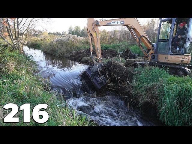 Beaver Dam Removal With Excavator No.216