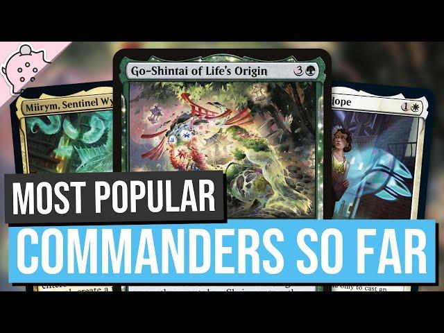 2022's Most Popular Commanders So Far | Powerful Commanders | EDH | MTG | Commander