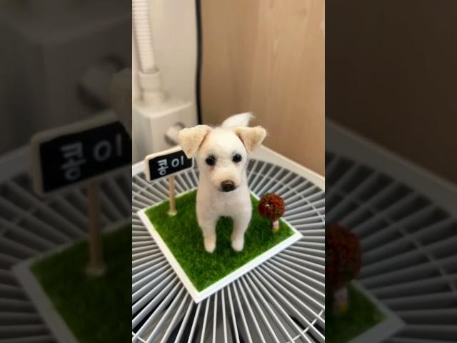 #강아지피규어 #강아지선물 #무지개다리 #양모펠트 #피규어 #댕댕이 #피규어만들기 #강아지굿즈