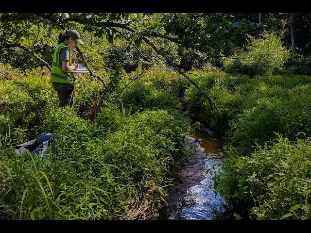 Tracking invasive plant species in the Chesapeake Bay watershed