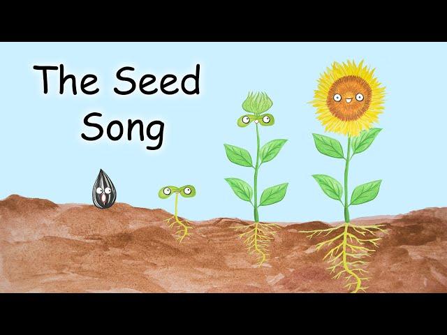 The Seed Song - What Do Seeds Need? - KIDS SING-ALONG AND LEARN