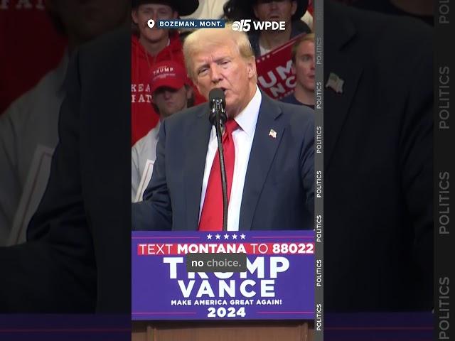 'It's going to be called a Trump mass deportation.' | Donald Trump declares.