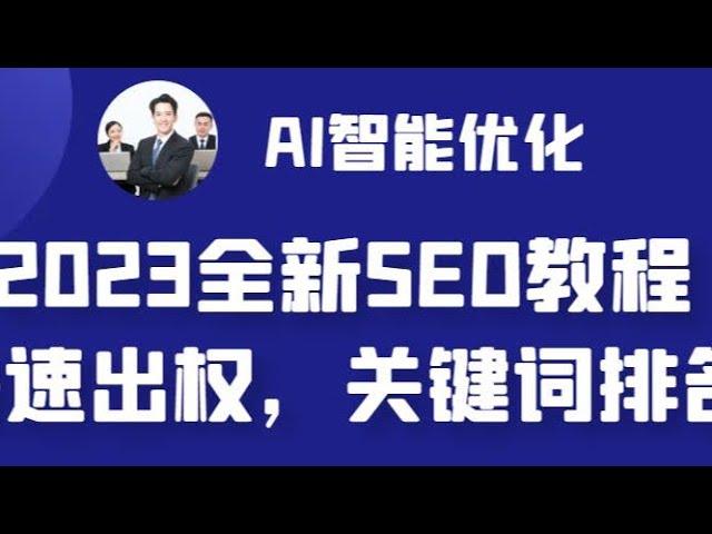 2023最新网站AI智能优化SEO教程，简单快速出权重，AI自动写文章+AI绘画配图