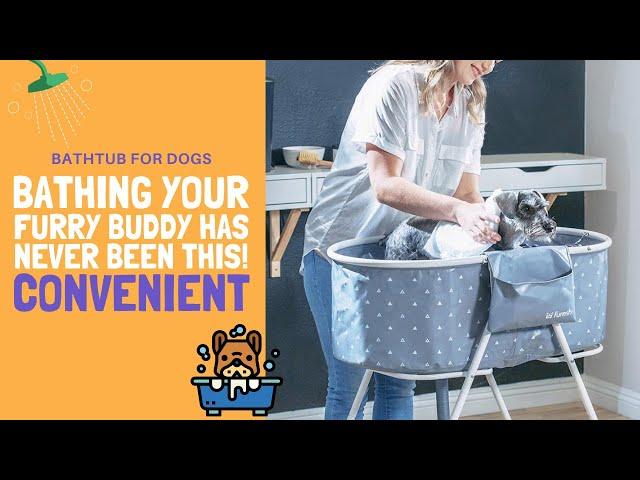 Bathtub for Dogs | Bathing your furry buddy has never been this CONVENIENT!