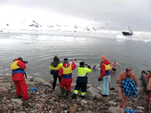 2011/03/13 - Swimming in Antarctica! @ Andvord Bay, Antarctic Peninsula