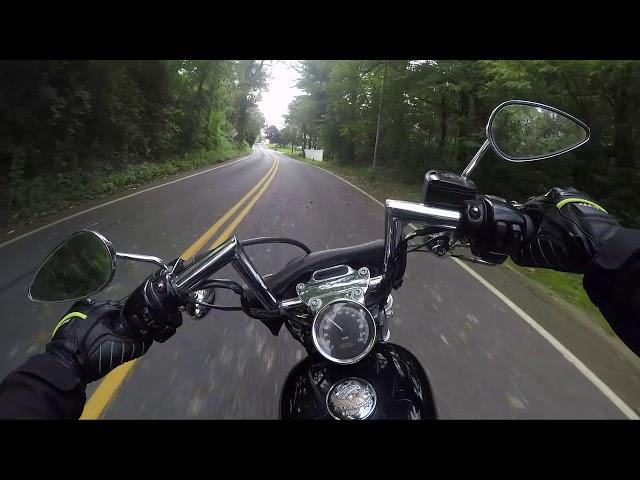 Watch this before you consider buying a Sportster 1200