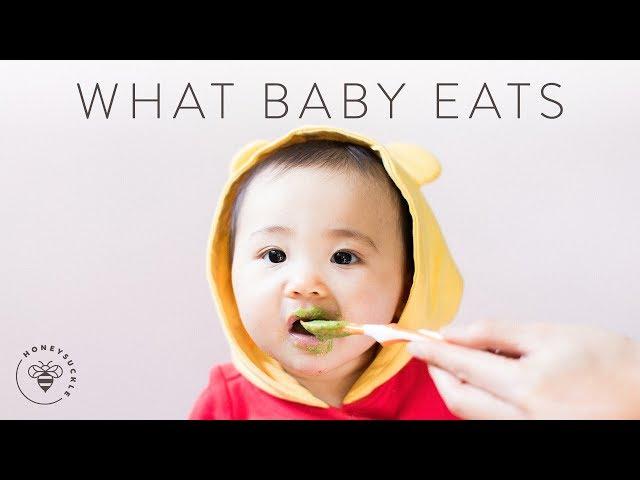 What BABY EATS in a Day (Homemade Baby Food)  | HONEYSUCKLE