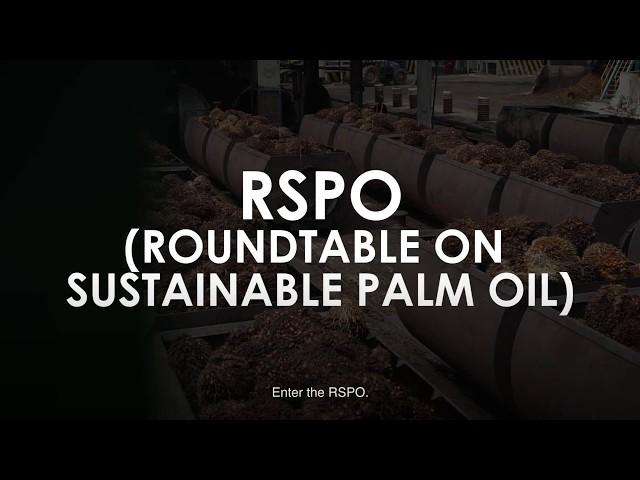 Sabah commits the entire state to sustainable palm oil practices by 2025