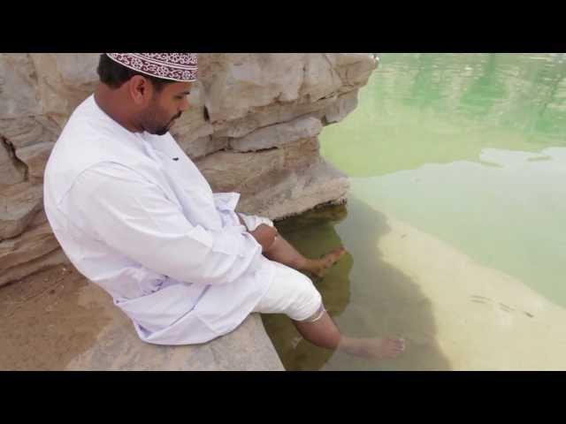 Get Friendly with Fish (Wadi Bani Khalid, Oman)