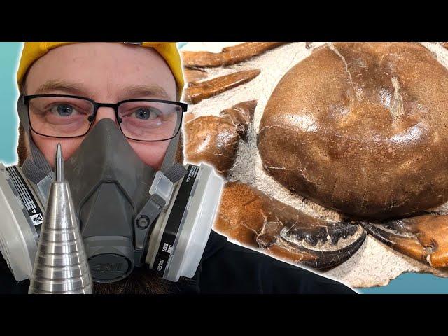 50lbs MONSTER fossil crab prep with commentary - 208 hours - 12 million year old giganteus crab