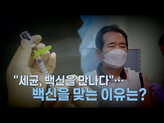 [나이트포커스] "세균이 백신을 만나다"...백신 맞는 이유는? / YTN