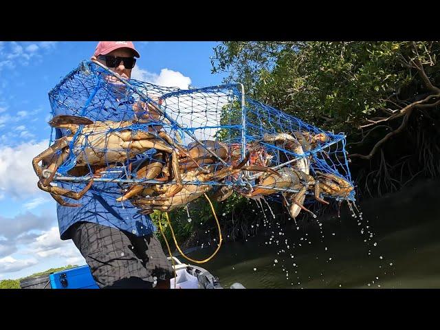 Full Crab Pots - BIG MUD CRABS | Cook up!