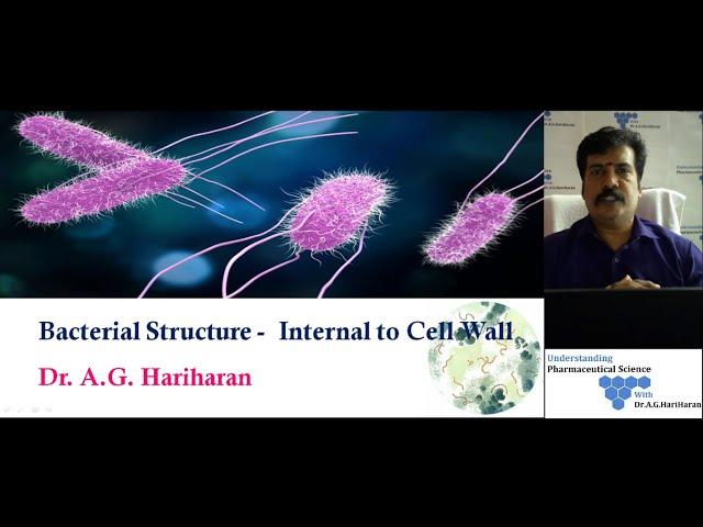 Structure of Bacteria - Internal to Cell Wall