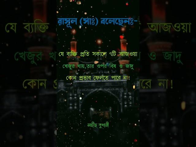 র স ল স এর ব জ ঞ ন ক হ দ স 2022 Islamic Video Short