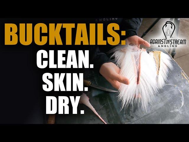 How to Skin a Deer Tail | Clean, Skin, and Dry YOUR OWN BUCKTAIL! - Against The Stream Angling