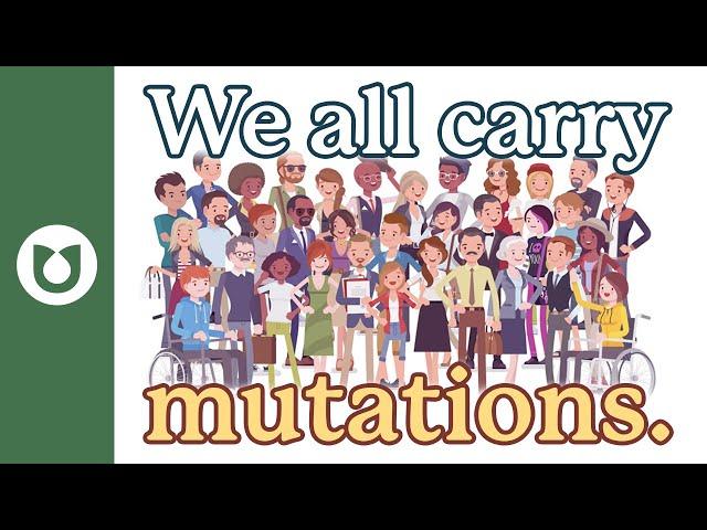 What is a mutation? Why do mutations occur?