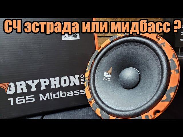 Громко и с басом - DL Audio Gryphon Pro 165 MidBass