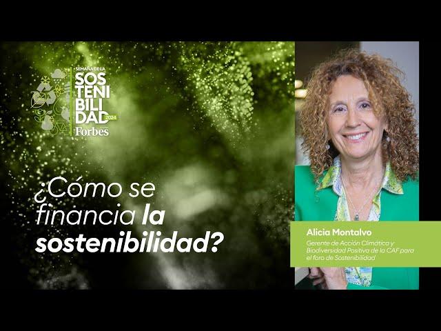 ¿Cómo se financia la sostenibilidad?