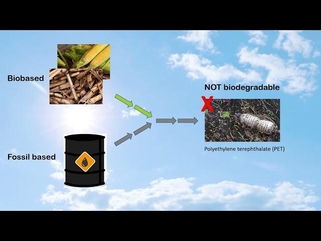 What is the difference between Biobased and Biodegradable?