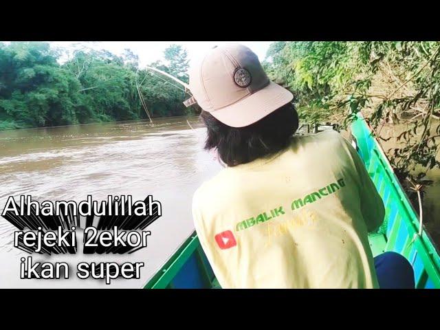 hampir 2 Minggu nggak mancing sekali berangkat 2 monster terangkat