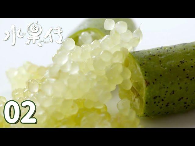 【水果传】第2集：异族 ——水果王国中的“另类” | Legend of Fruit | 腾讯视频 - 纪录片