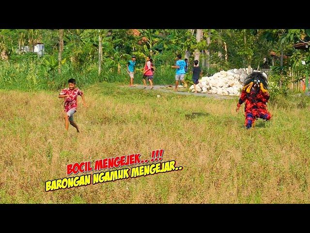 Mengejek !! DIKEJAR BARONGAN NGAMUK SAMPAI KE SAWAH  Arak arakan barongan & Reyog Singo Kubro