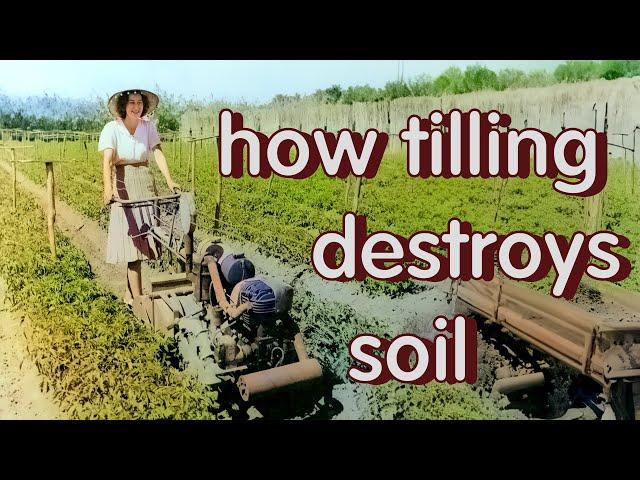 every time you till you destroy 30% of your soil organic matter