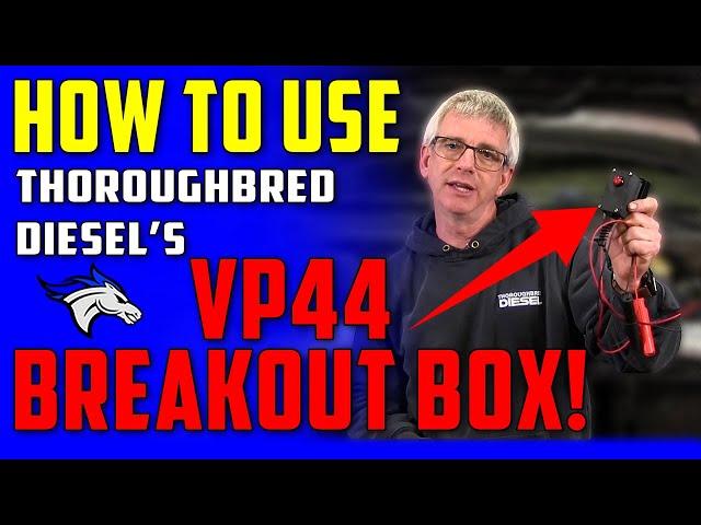 How To Diagnose VP44 Injection Pump | Thoroughbred Diesel Breakout Box #diesel #cummins #dodge #fyp