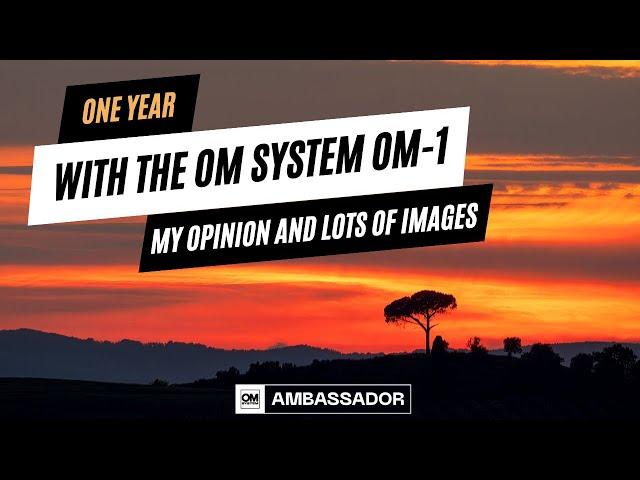 One Year with the OM-1. My Experience and Lots of Images! OM System / Olympus Landscape Photography