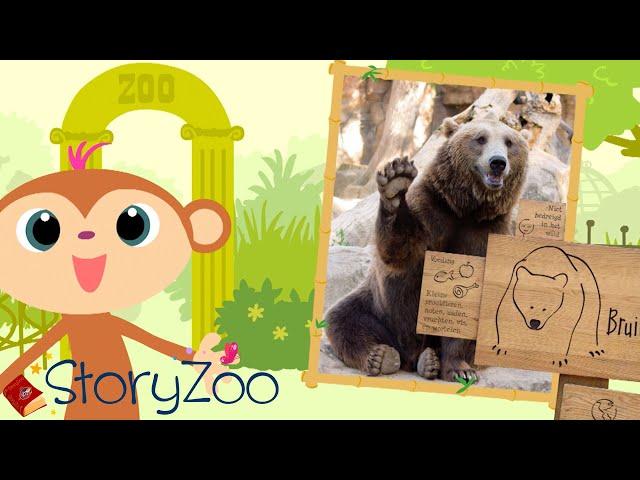 StoryZoo | StoryZoo in The Zoo | Learn About The Brown Bear! | Educational Videos for Children