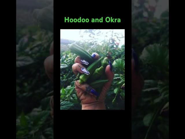 Hoodoo and Okra #hoodoo #htownhoodoo #spell #hoodootips #spells #witch