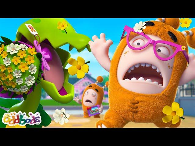 Mother's Day Meltdown! | Oddbods | Full Episode | Funny Cartoons for Kids