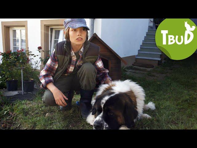 Hundeherz (Folge 1) | Tiere bis unters Dach | SWR Plus