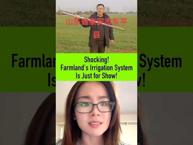 Shocking! Farmland's Irrigation System Is Just for Show!