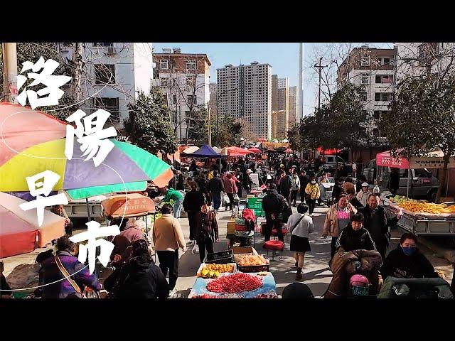 Luoyang Morning Rhythm: Slow life at the morning market in the thousand-year-old ancient capital