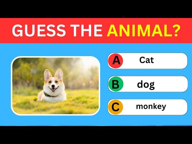 GUESS THE ANIMAL | ANIMALS QUIZ
