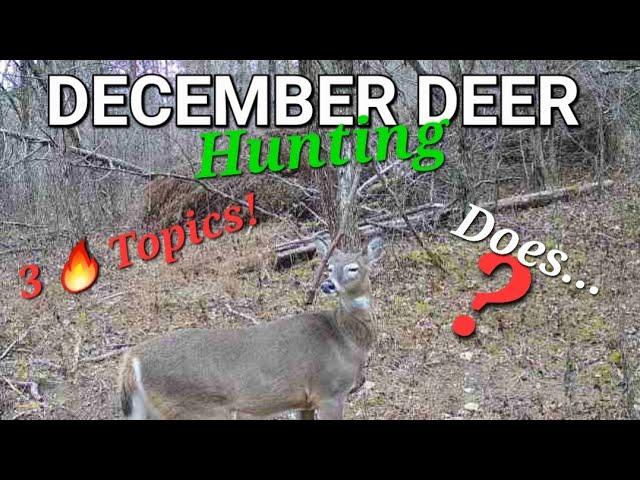 December Deer Hunting Tips and Strategies