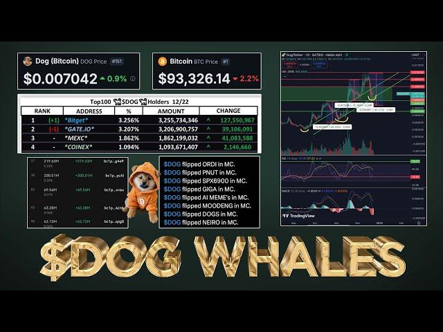 Massive $DOG (Bitcoin) Whale Accumulation (Tricked Retail) 