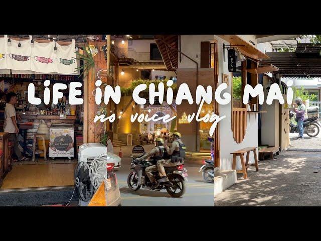 Life in Chiang Mai | visiting cafes, tanabata festival, exploring neighbourhoods | Thailand VLOG