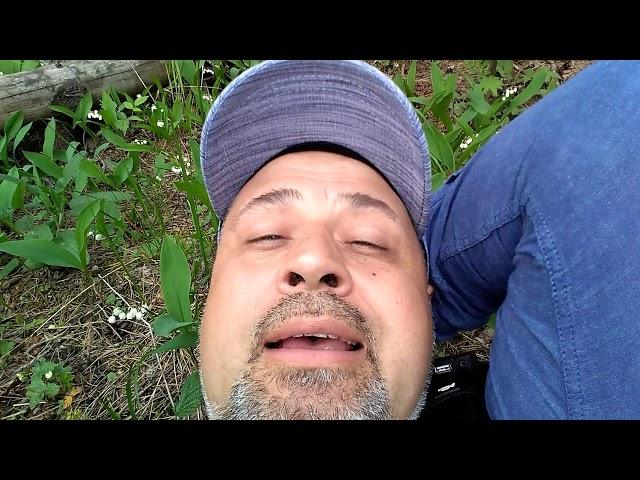 Признавайтесь в любви - Дмитрий Чернышов