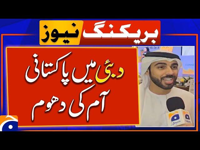 Pakistani mangoes draw crowds at Dubai festival | Breaking News