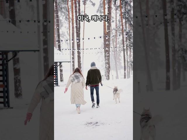 ATM기에는 비밀 버튼이 있다#ATM비상버튼 #숨겨진기능 #안전상식 #비밀기능 #강도상황대처법 #몰랐던정보 #짧은지식 #숏츠상식 #정보채널