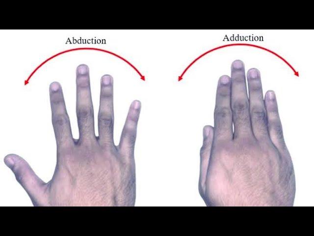 Finger’s Abduction Adduction | Fingers Exercise | Active ROM Exercises | DPT Students |Physiotherapy